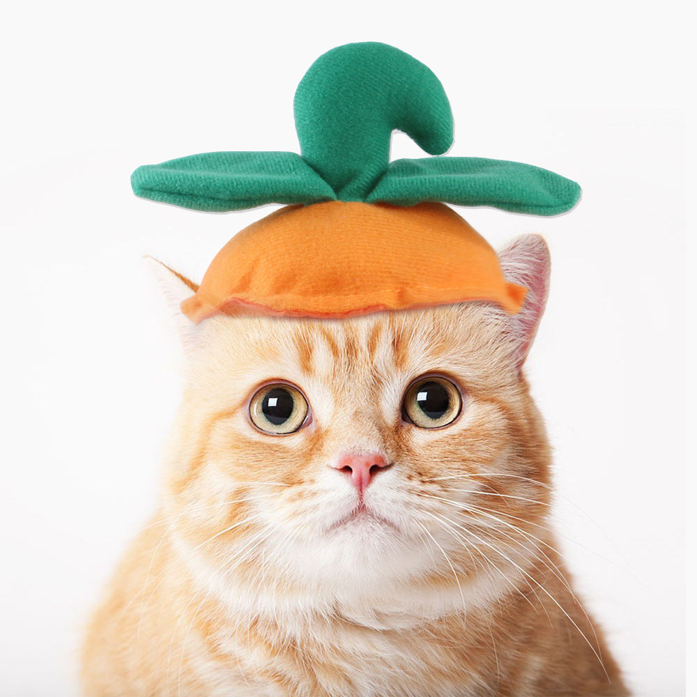 Funny Headpieces for Cats & Small Dogs Pets Possessions LLC