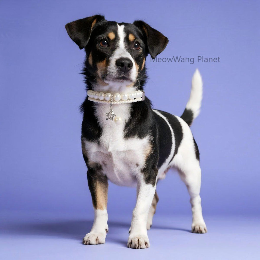 Elegant Adjustable Pearl Collar for Cats & Dogs Pets Possessions