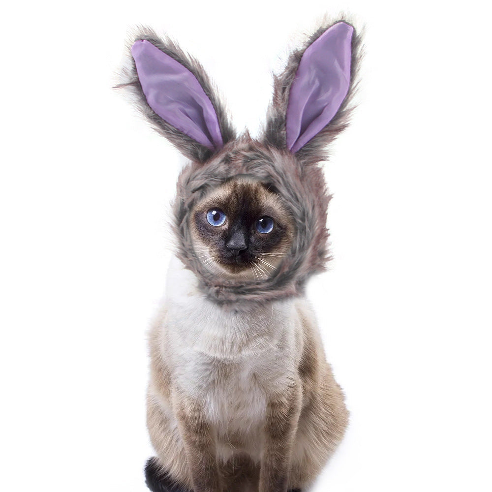 Funny Headpieces for Cats & Small Dogs Pets Possessions LLC