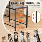 Elevated Feeding Station With Storage Organizer for Dogs Pets Possessions
