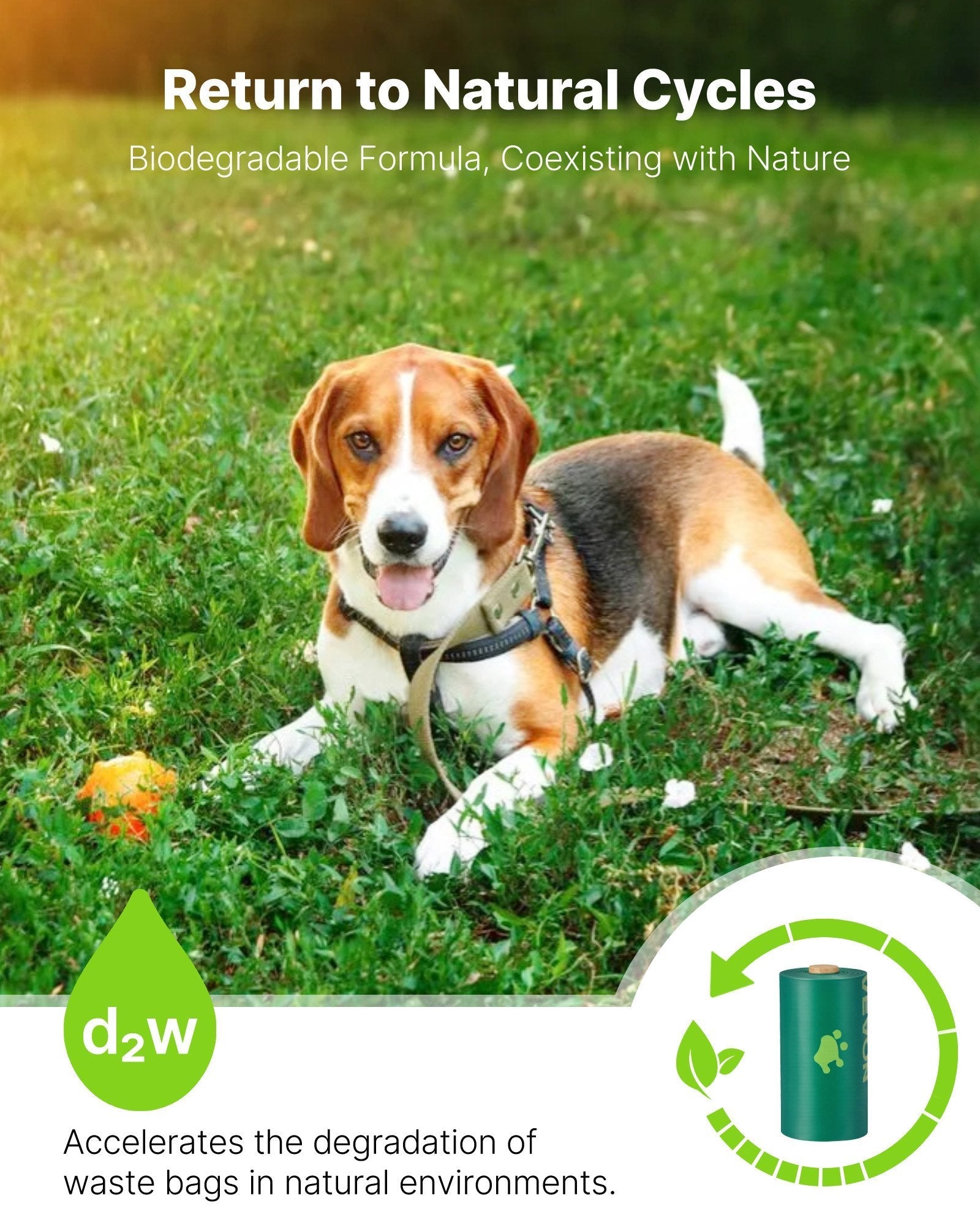 270 Pcs Lavender Scented Biodegradable Waste Bags + Refillable Bag Dispenser for Dog Waste Pets Possessions