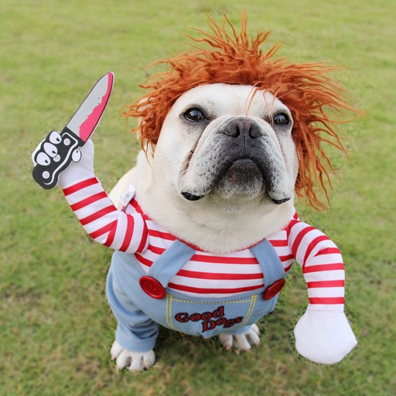 Spooktacular Cutesy, Artsy Chucky Doll or Horseman Halloween Costumes for Dogs Pets Possessions