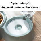 Automatic Water Dispenser and Food Bowl for Cats Pets Possessions