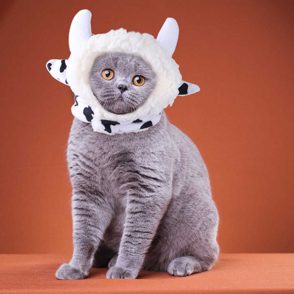 Funny Headpieces for Cats & Small Dogs Pets Possessions LLC