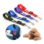 Durable Vehicle Seatbelt Leash for Cats and Dogs Pets Possessions