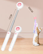 Retractable Cat Teaser Stick & Laser Pen Pets Possessions