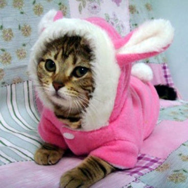 Cutest Bunny Hop Cotton Fleece for Cats & Dogs Pets Possessions LLC