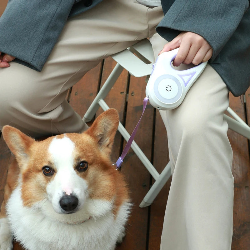 Retractable Leash with LED Lights for Cats & Dogs