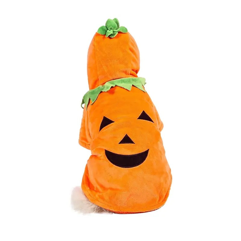 Adorable Halloween Pumpkin Costume for Dogs Pets Possessions