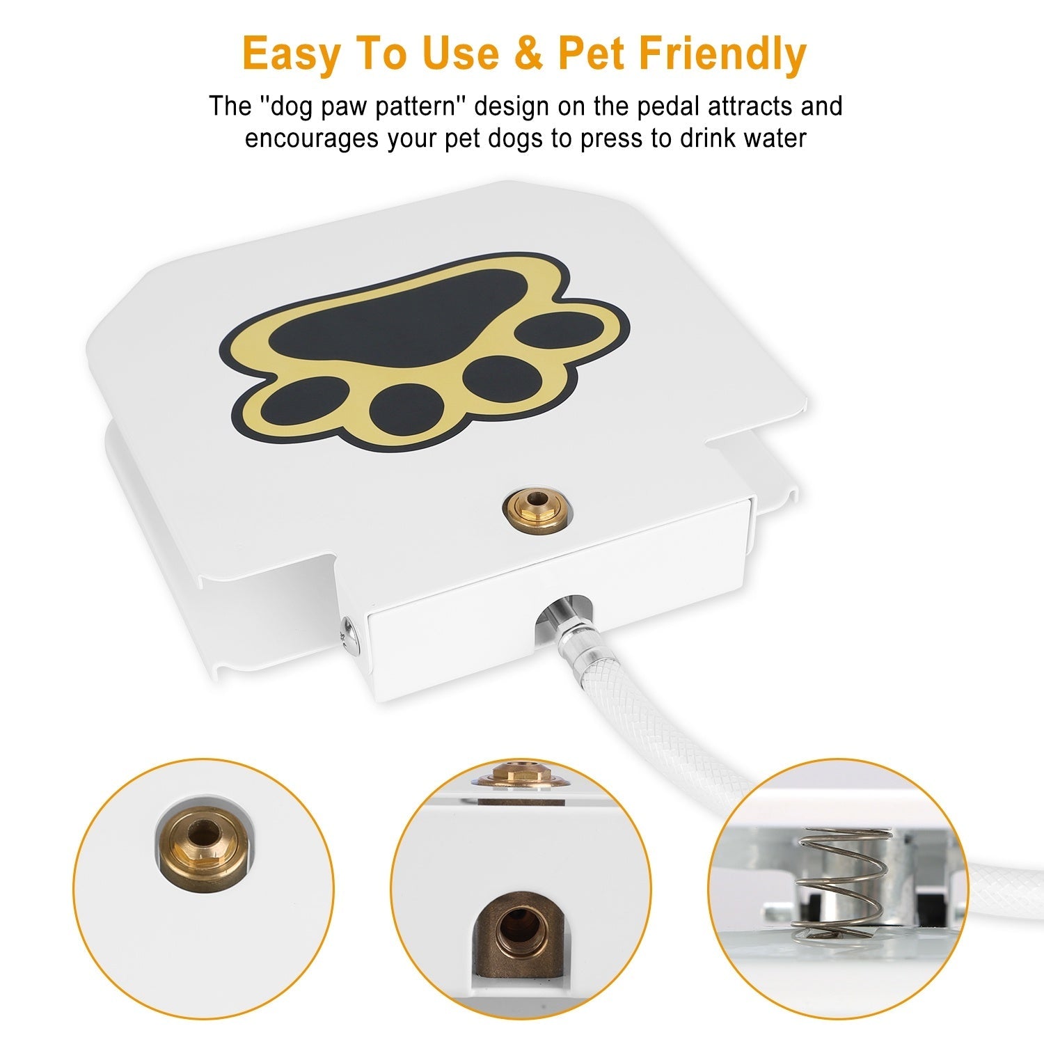 Paw Activated Water Dispenser for Dogs Pets Possessions