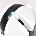 Interactive Electronic Motion Cat Toy (Fun to watch) Pets Possessions