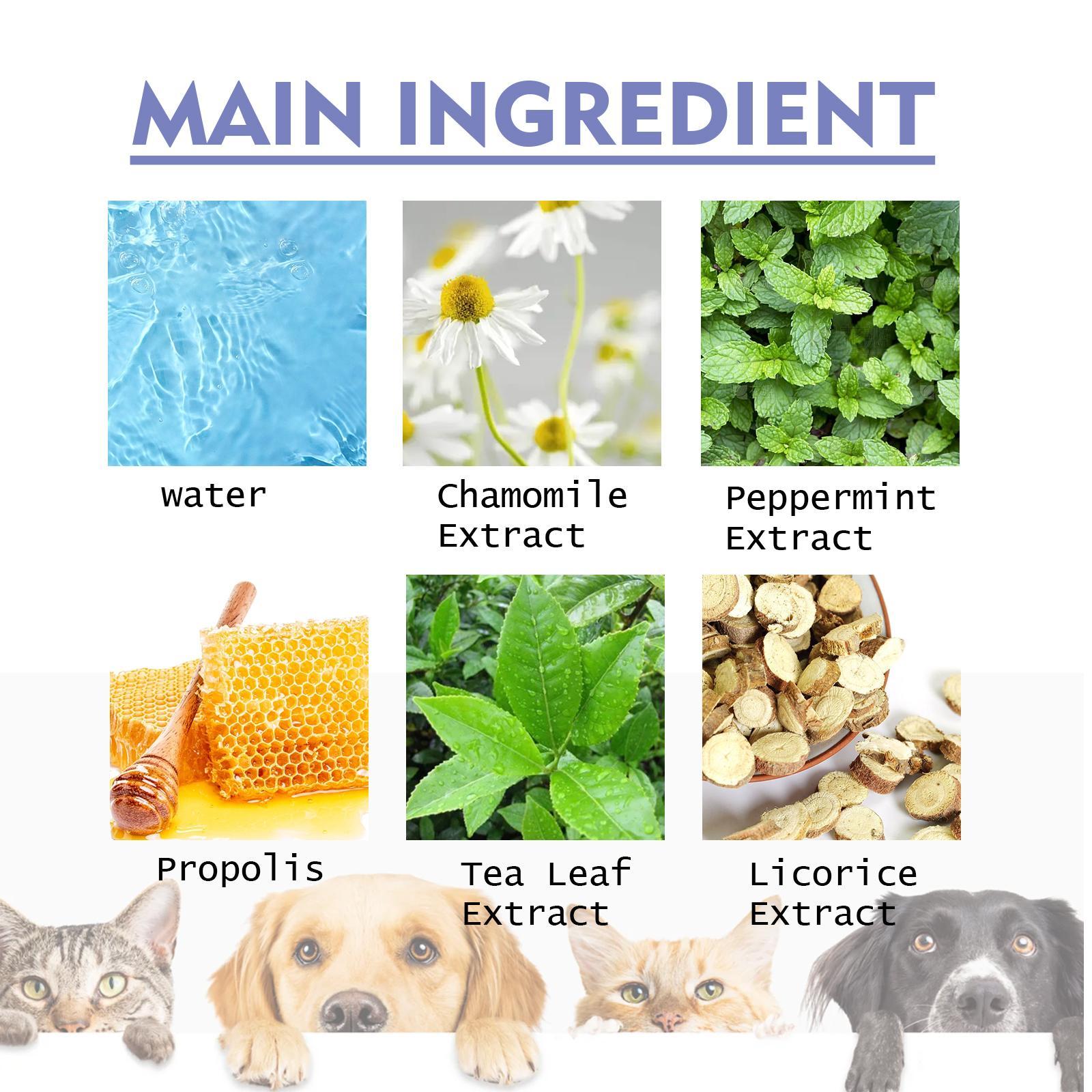 Yegbong Teeth Cleaning Spray for Cats & Dogs Pets Possessions