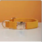 Multiple Color Velvet Customizable Dog Collar +Leash Set with Bow Pets Possessions