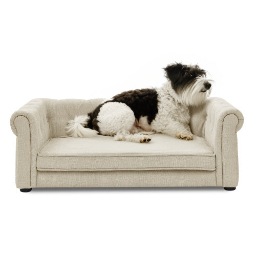 Elegant Rectangular Sofa Bed for Dogs Pets Possessions