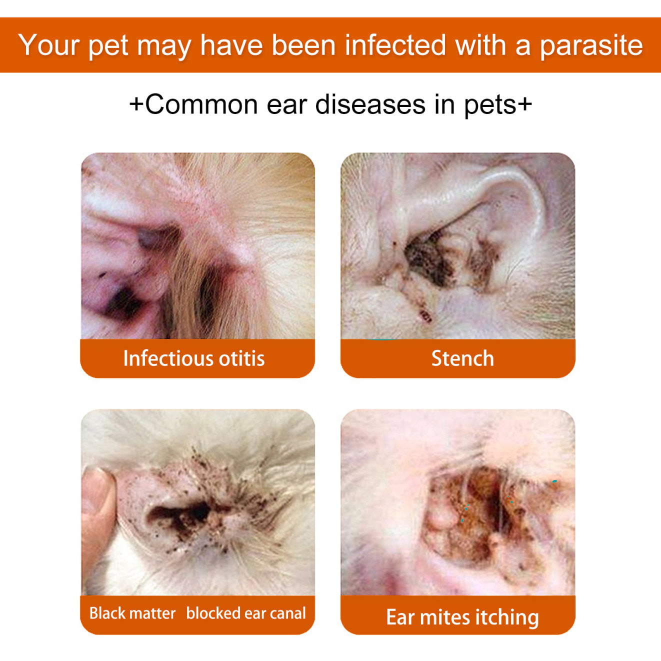 Yegbong Anti-Odor + Anti-Ear Mite Cleaning Wipes for Cats & Dogs Pets Possessions