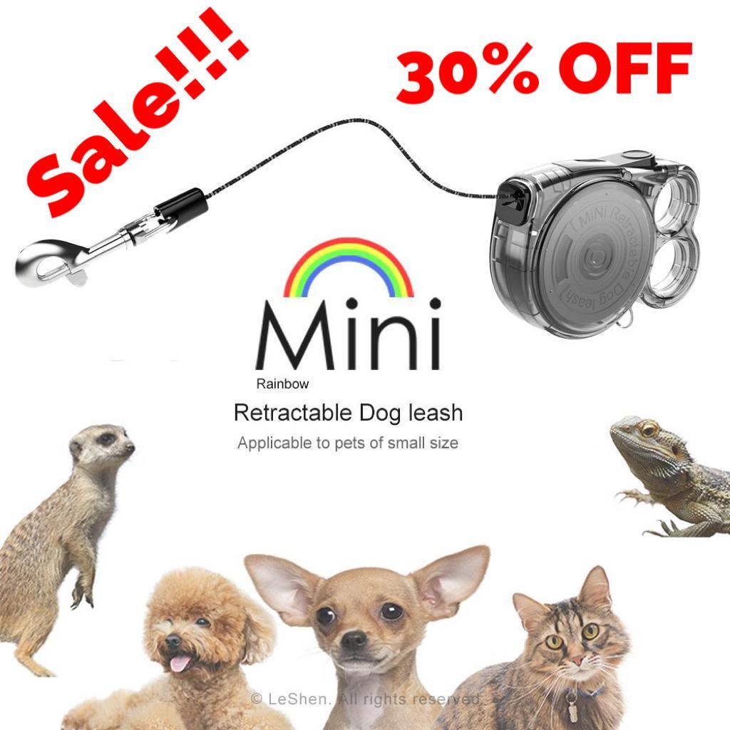 Mini Retractable Leash - for Cats & Small Dogs Pets Possessions