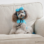 Adorable Mermaid Costume for Cats & Dogs Pets Possessions LLC