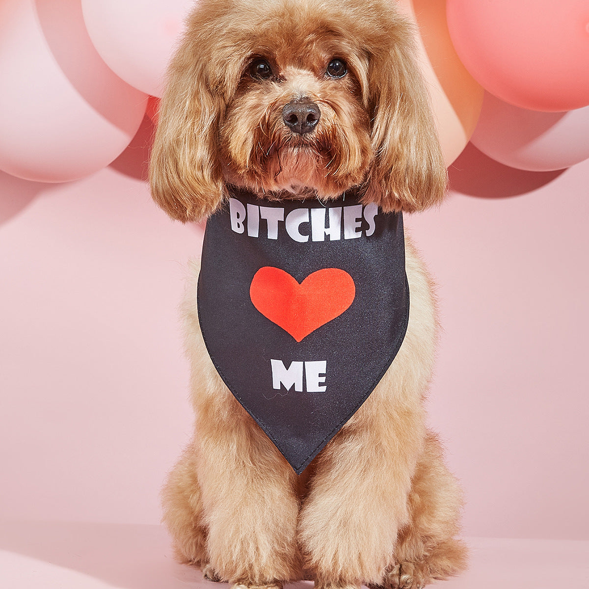 Trendy Valentines Day Scarves for Cats & Dogs Pets Possessions LLC