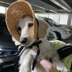 Vintage Classy Coffee Crochet Hat for Cats and Small Dogs Pets Possessions LLC
