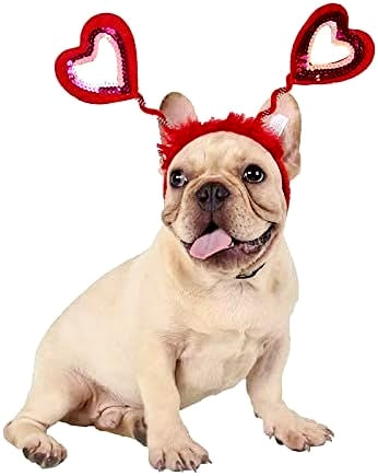 Valentine's Day Heart Headband Accessory for Cats & Dogs Pets Possessions LLC