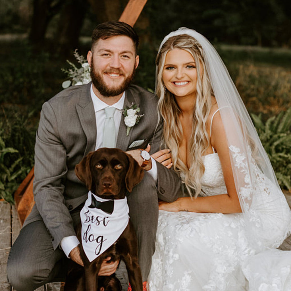 Beautiful Double-layer Wedding Pet Scarves for Cats & Dogs Pets Possessions LLC