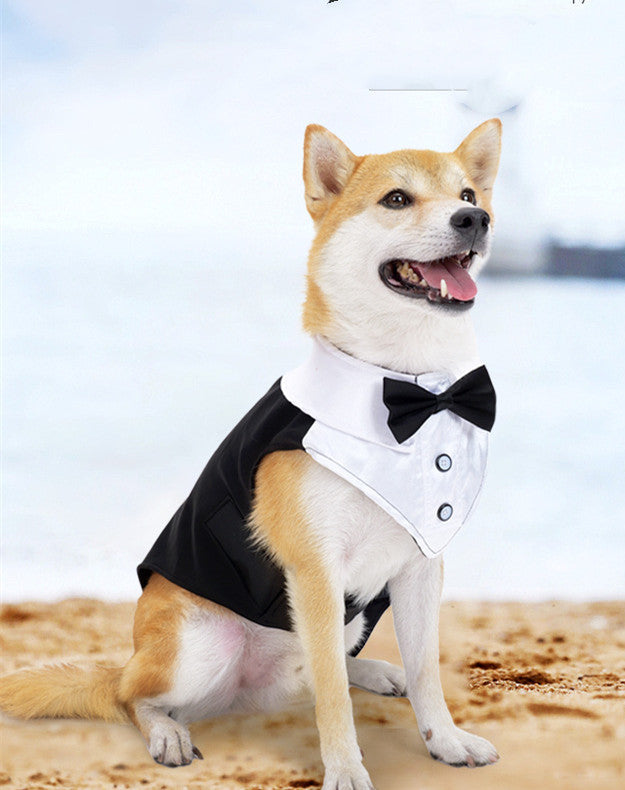 Holiday Wedding Party Dog Clothes Pets Possessions LLC