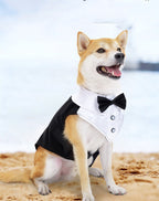 Holiday Wedding Party Dog Clothes Pets Possessions LLC