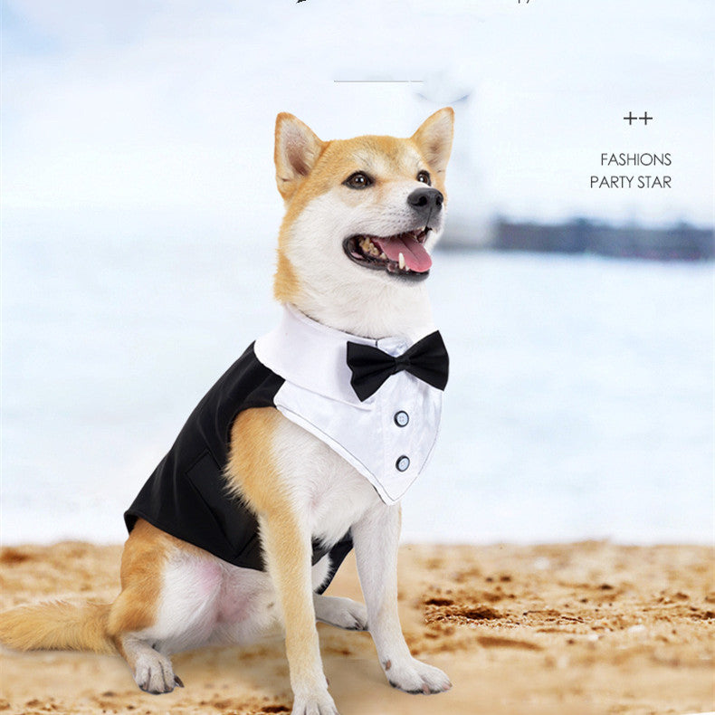 Holiday Wedding Party Dog Clothes Pets Possessions LLC