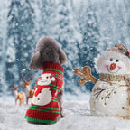 Festive Christmas Turtleneck Sweater for Dogs & Cats Pets Possessions
