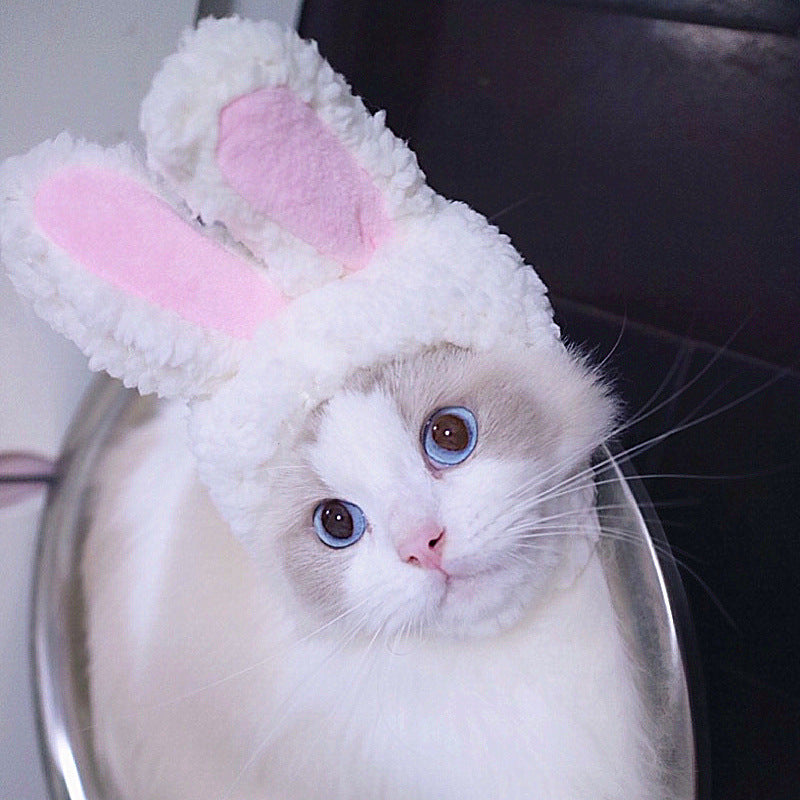 Funny Headpieces for Cats & Small Dogs Pets Possessions LLC