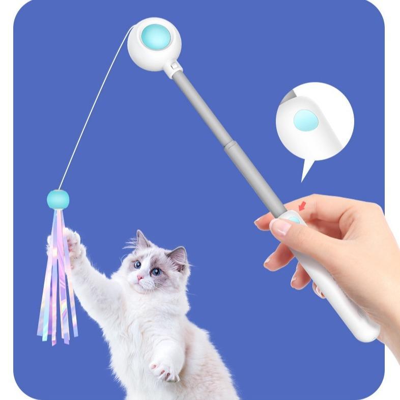 Retractable Cat Teaser Stick & Laser Pen Pets Possessions