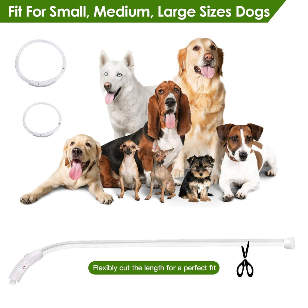 USB Rechargeable LED with Multi Color Lighting for Cats & Dogs Pets Possessions