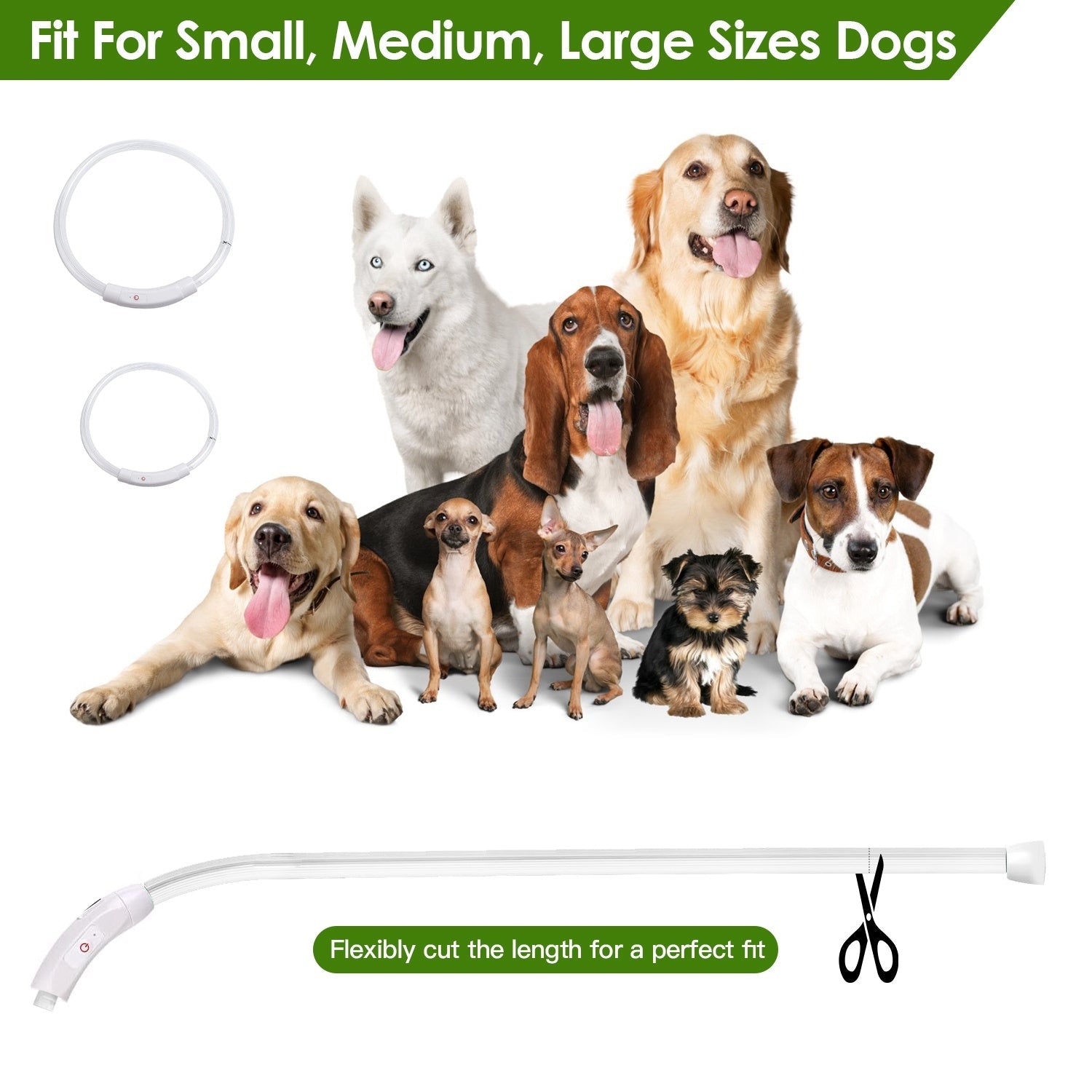 USB Rechargeable LED with Multi Color Lighting for Cats & Dogs Pets Possessions