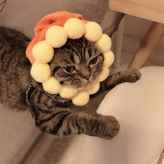 Funny Headpieces for Cats & Small Dogs Pets Possessions LLC