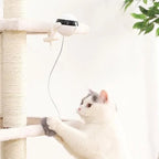 Interactive Electronic Motion Cat Toy (Fun to watch) Pets Possessions