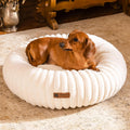 MEWOOFUN Cream Fluffy Round Donut Bed with Non-Slip Bottom for Cats & Dogs Pets Possessions