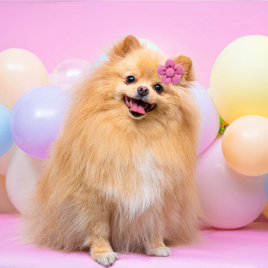 Pet Headdress Flower Spring Flower Solid Color Headdress Flower Dog Cat Accessories Pets Possessions LLC