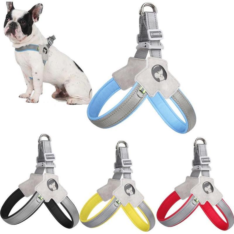 Adjustable Pet Harness + Leash with Reflective Stitching for Safety at Night for Dogs Pets Possessions