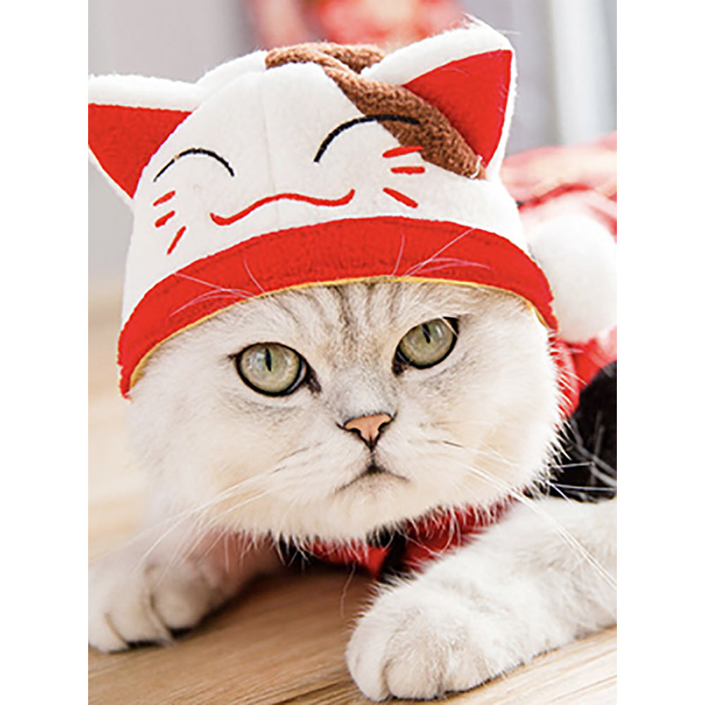 Funny Headpieces for Cats & Small Dogs Pets Possessions LLC