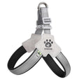 Adjustable Pet Harness + Leash with Reflective Stitching for Safety at Night for Dogs Pets Possessions