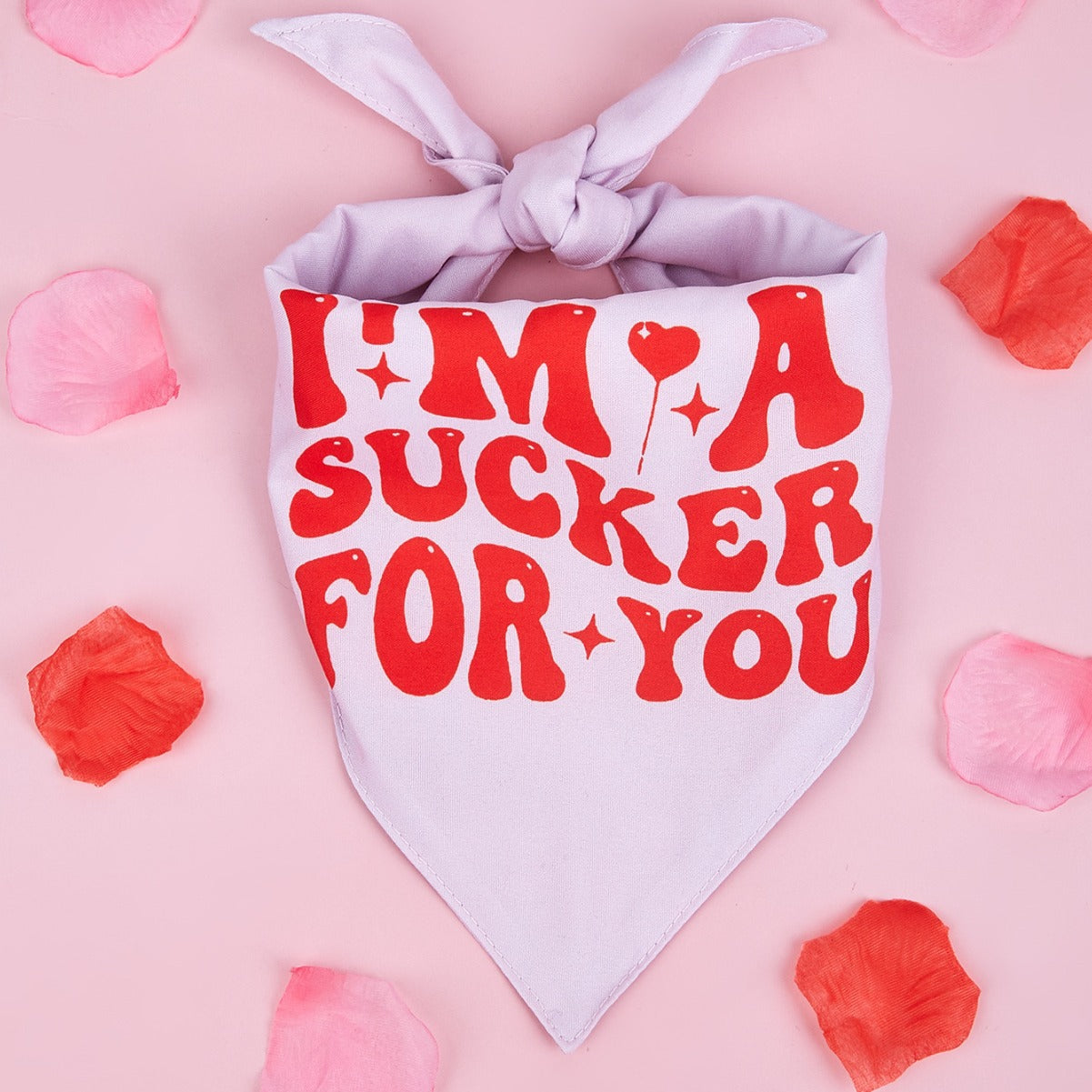 Trendy Valentines Day Scarves for Cats & Dogs Pets Possessions LLC