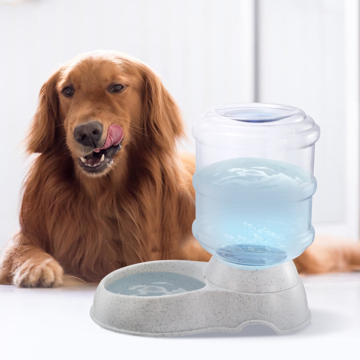 1Gal Pet Water Dispenser for Cats & Dogs Pets Possessions