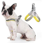 Adjustable Pet Harness + Leash with Reflective Stitching for Safety at Night for Dogs Pets Possessions