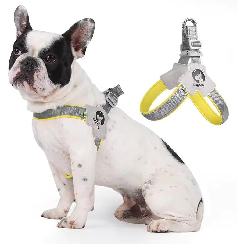 Adjustable Pet Harness + Leash with Reflective Stitching for Safety at Night for Dogs Pets Possessions