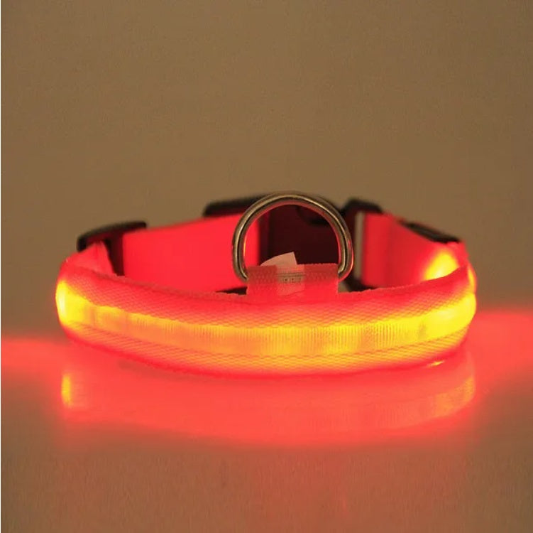 LED Safety Halo Style Collar Universal for Cats & Dogs Pets Possessions