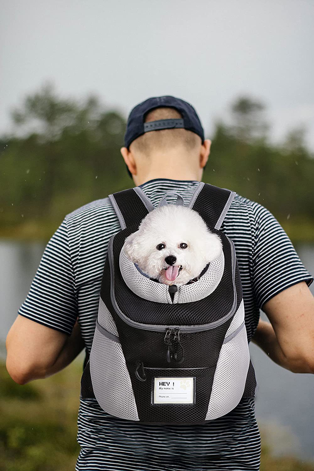 ComfortGo Breathable Lightweight Mesh Pet Carrier for Cats & Small Dogs Pets Possessions LLC