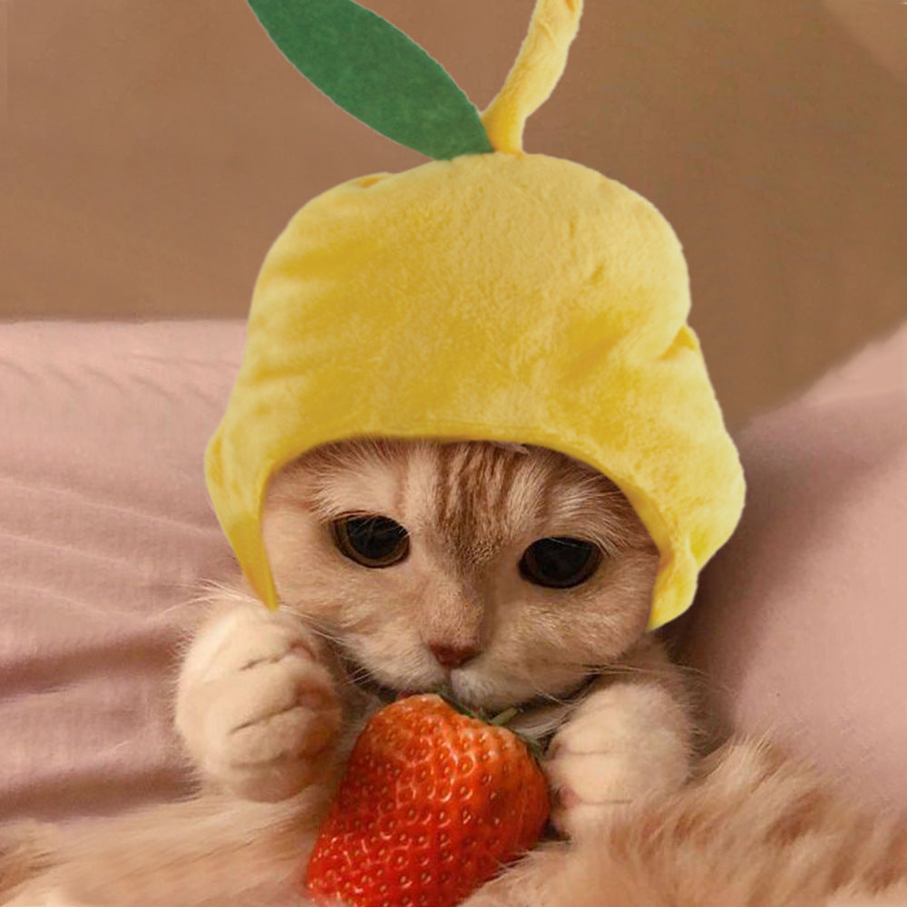 Funny Headpieces for Cats & Small Dogs Pets Possessions LLC