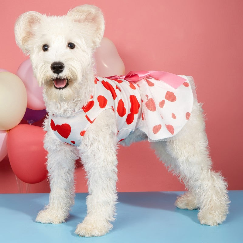Valentine's Day Heart Printed Dress for Cats & Dogs Pets Possessions LLC