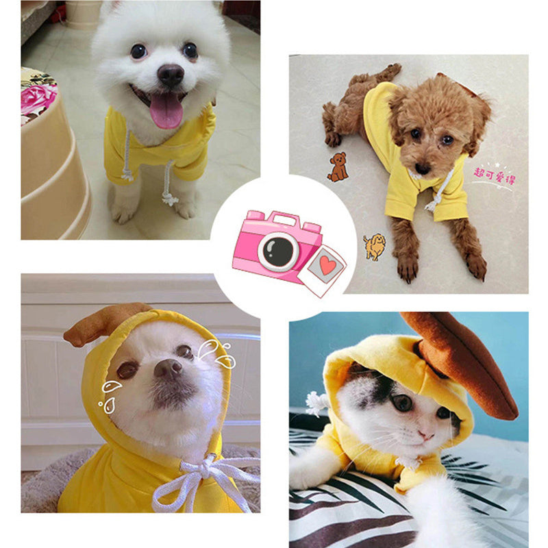 Cute Holiday and Year Round Costumes for Cats & Dogs Pets Possessions