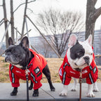 Stylish Windproof Raincoat for Dogs Pets Possessions LLC